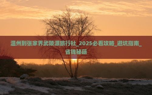 温州到张家界武陵源旅行社