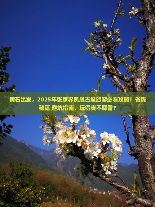 黄石到张家界凤凰古城大型旅游团