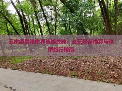 五家渠到张家界哪里玩