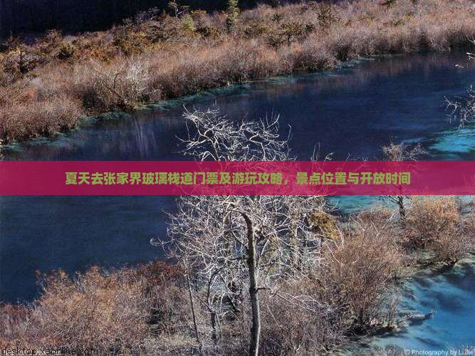 夏天去张家界玻璃栈道门票