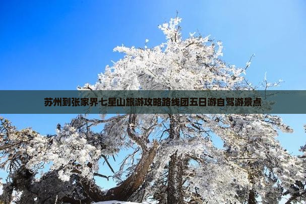 苏州到张家界七星山旅游