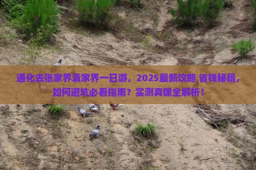 通化去张家界袁家界一日