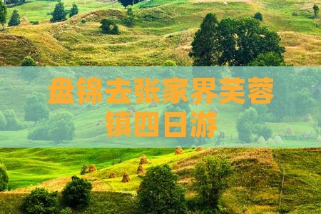 盘锦去张家界芙蓉镇四日游