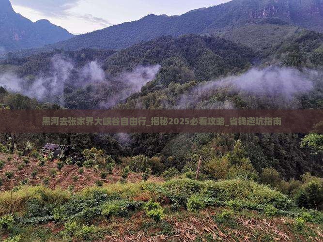 黑河去张家界大峡谷自由行