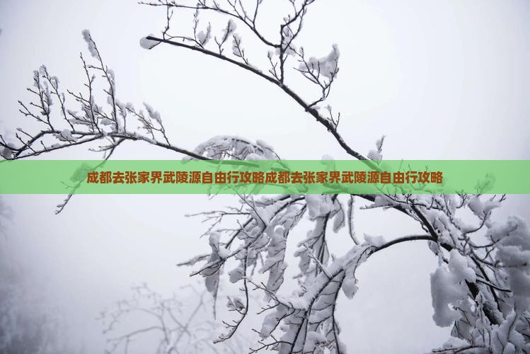 成都去张家界武陵源自由行
