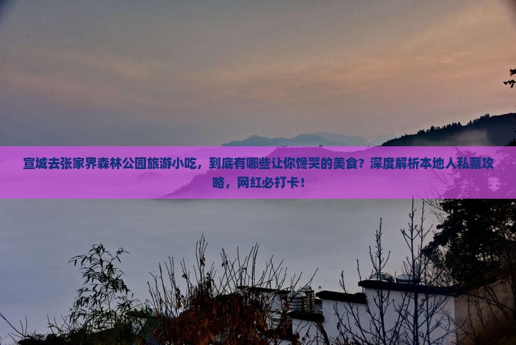 宣城去张家界森林公园旅游小吃