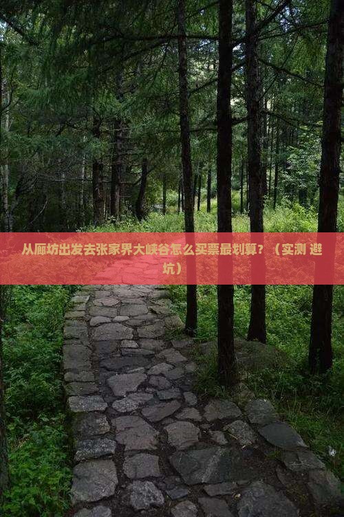 廊坊去张家界大峡谷门票