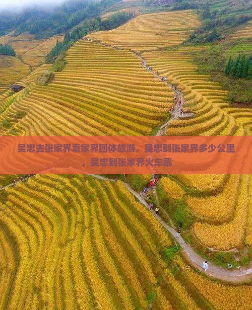 吴忠去张家界袁家界团体旅游
