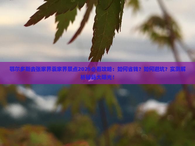 鄂尔多斯去张家界袁家界景点