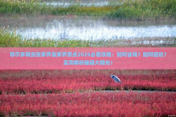 鄂尔多斯去张家界袁家界景点