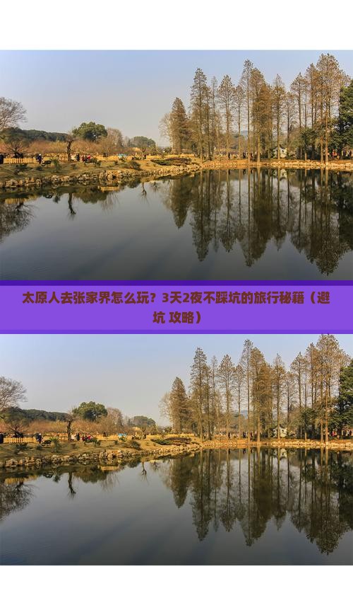 太原去张家界团体旅游