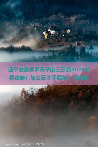 遂宁去张家界天子山三日游
