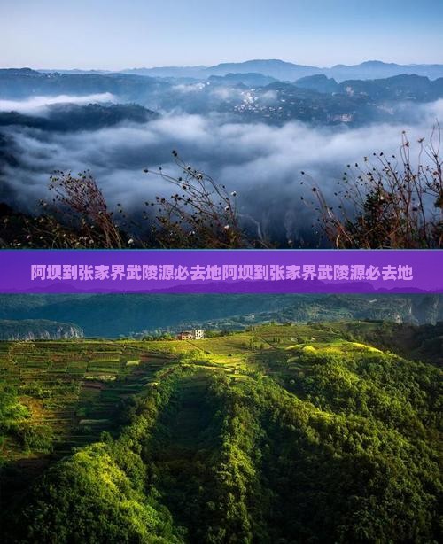 阿坝到张家界武陵源必去地
