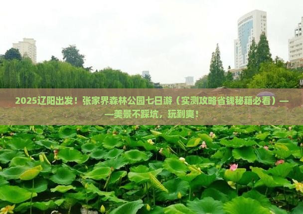 辽阳去张家界森林公园七日游