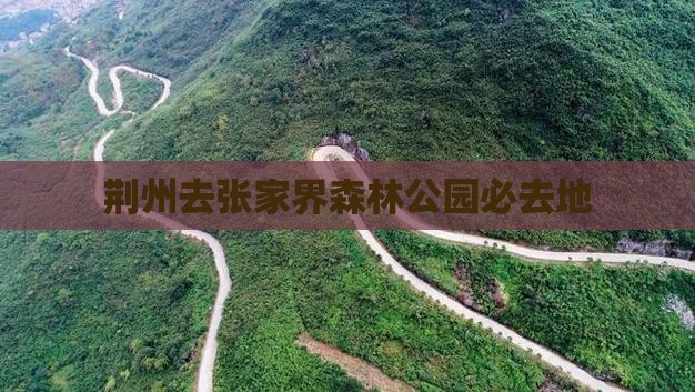 荆州去张家界森林公园必去地