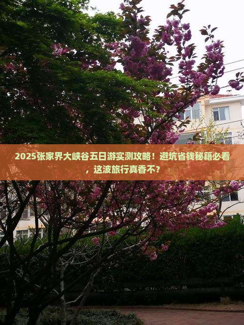 思茅去张家界大峡谷五日游
