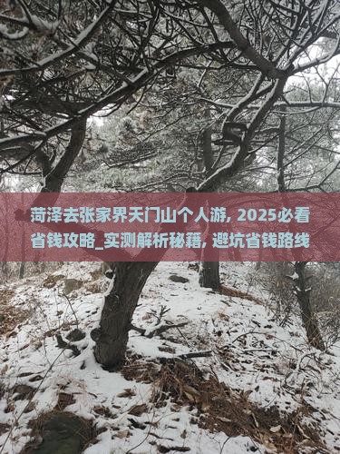 菏泽去张家界天门山个人游