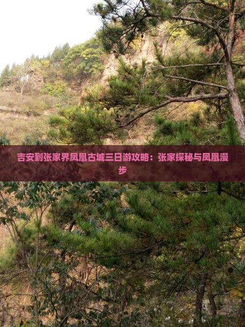 吉安到张家界凤凰古城三日游