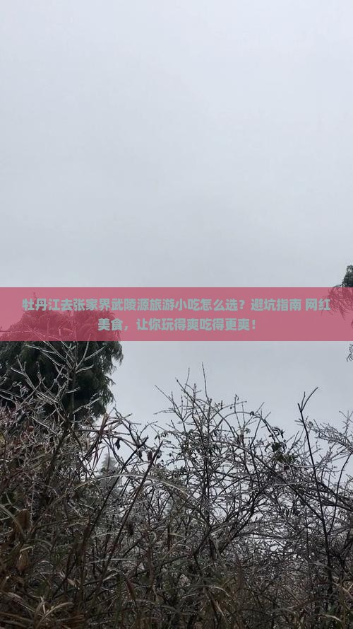 牡丹江去张家界武陵源旅游小吃
