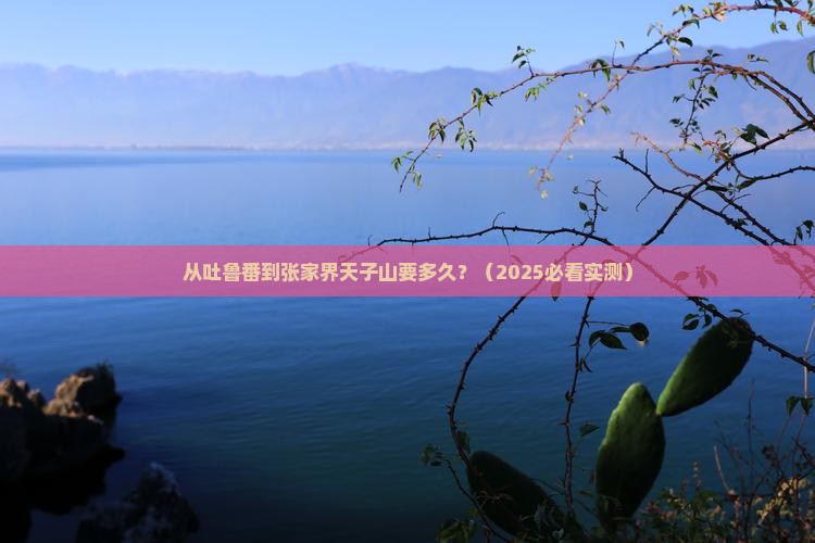 吐鲁番到张家界天子山攻略