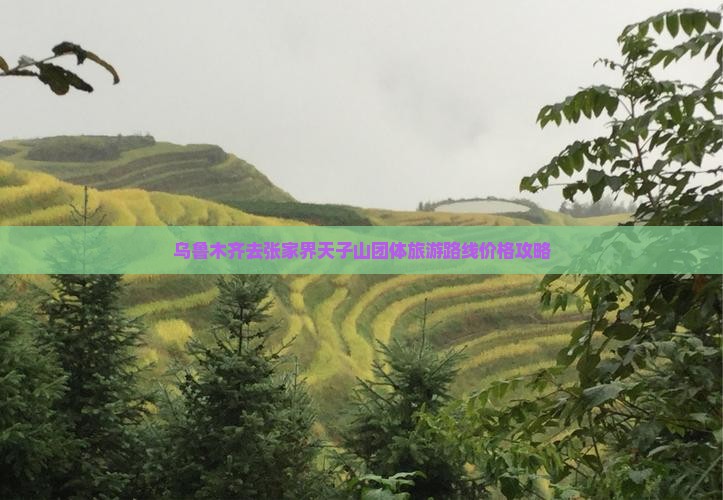 乌鲁木齐去张家界天子山团体旅游