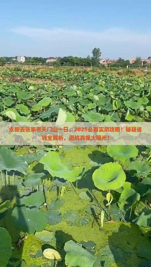 永新去张家界天门山一日