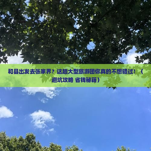 和县到张家界森林公园大型旅游团