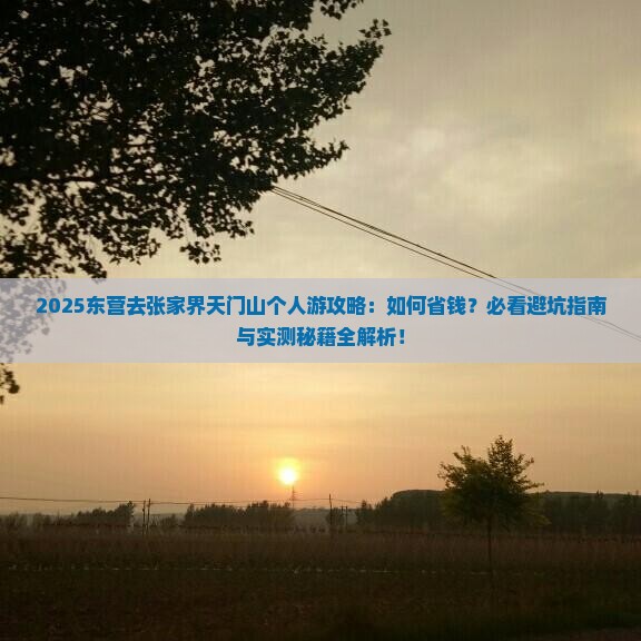 东营去张家界天门山个人游