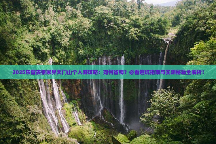 东营去张家界天门山个人游