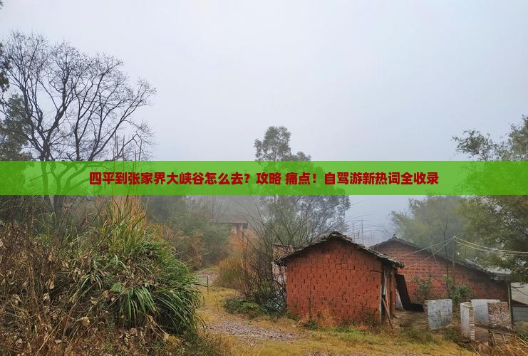 四平到张家界大峡谷景点