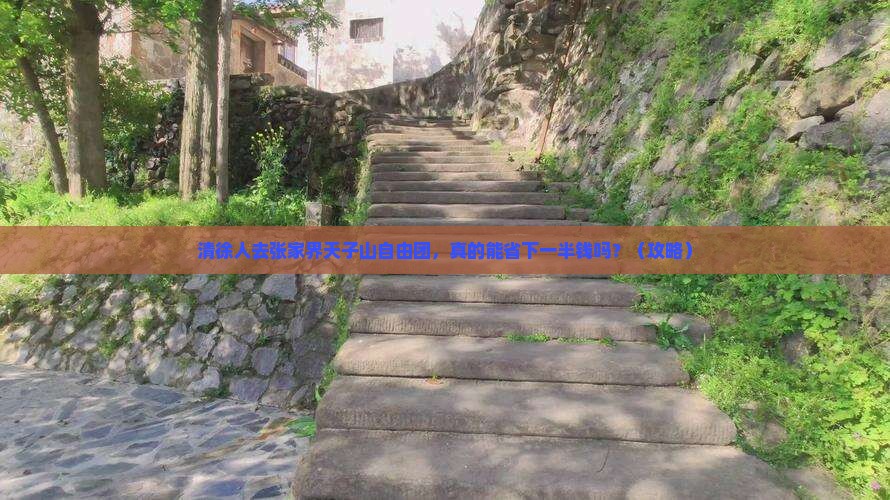 清徐去张家界天子山自由团