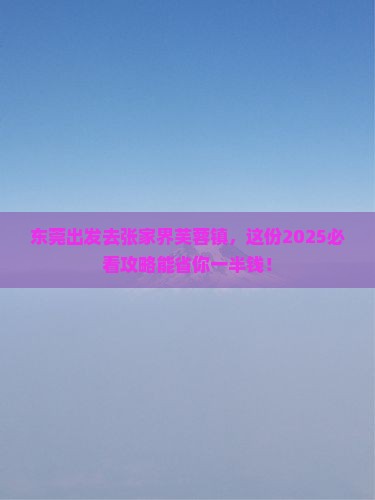 东莞到张家界芙蓉镇旅行社