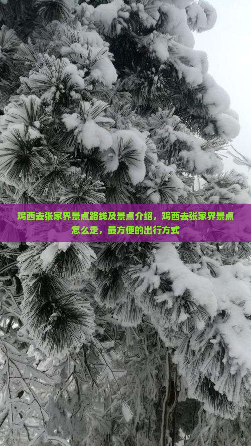 鸡西去张家界景点