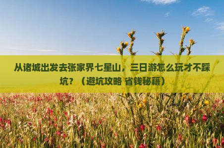 诸城去张家界七星山三日游