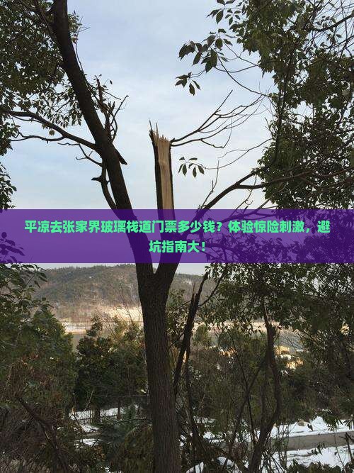 平凉去张家界玻璃栈道门票