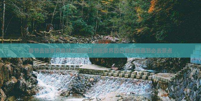春节去张家界森林公园四日游 春节去张家界森林公园四日游