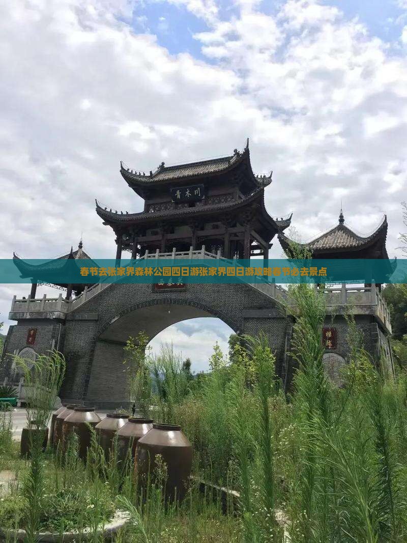 春节去张家界森林公园四日游 春节去张家界森林公园四日游