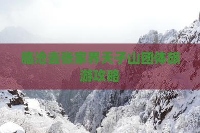 临沧去张家界天子山团体旅游