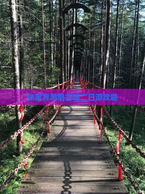 海拉尔到张家界凤凰古城二日游