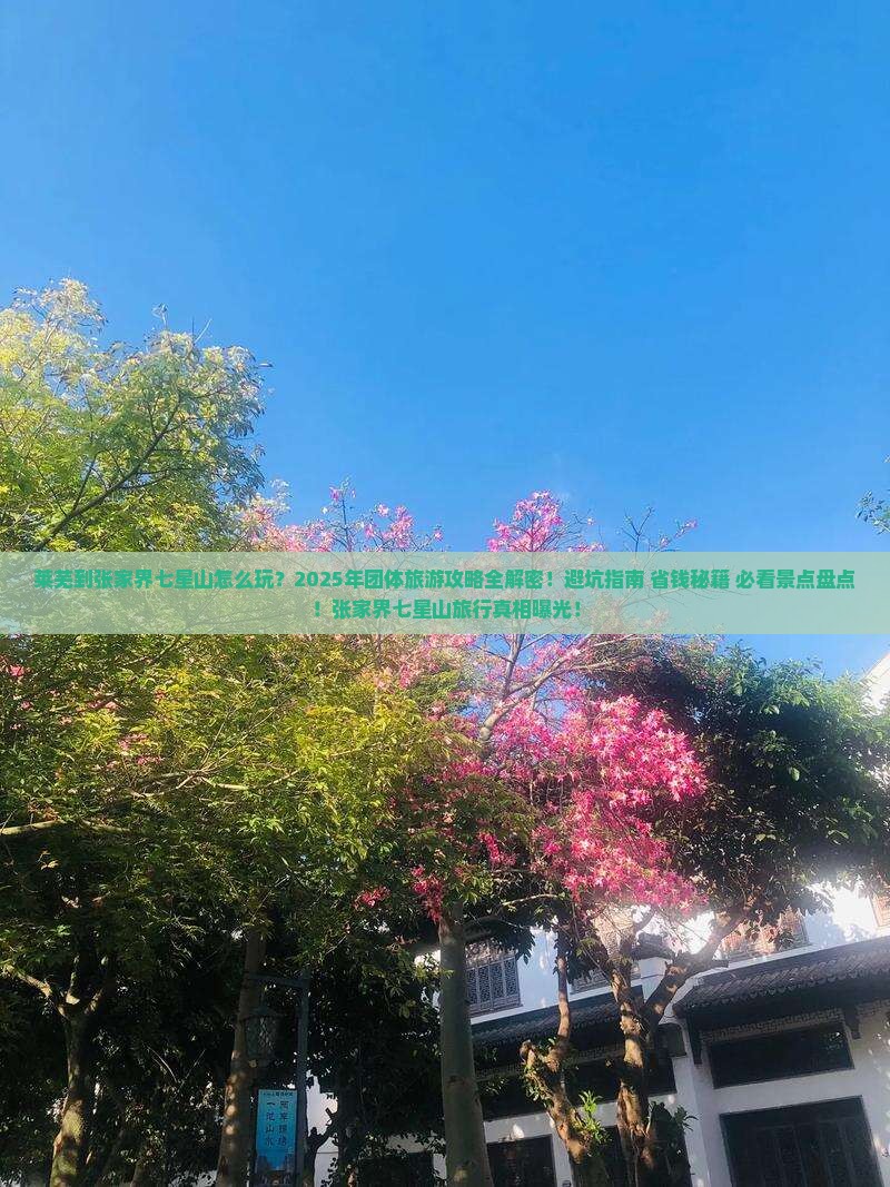 莱芜到张家界七星山团体旅游