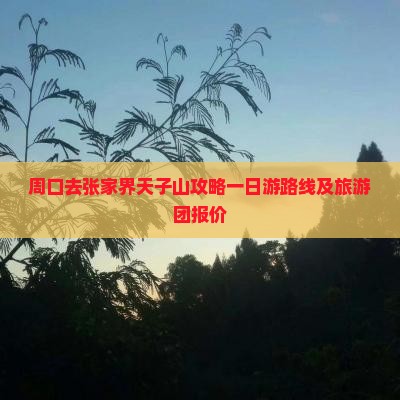 周口去张家界天子山攻略