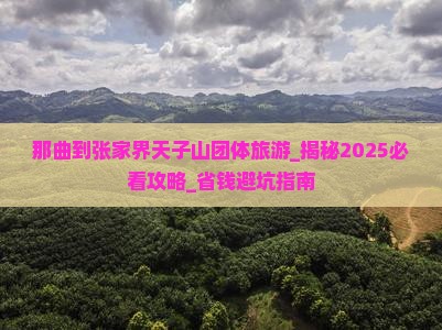 那曲到张家界天子山团体旅游