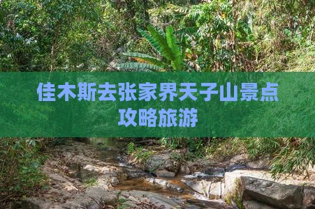 佳木斯去张家界天子山景点