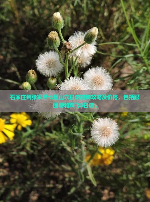 石家庄到张家界七星山六日游