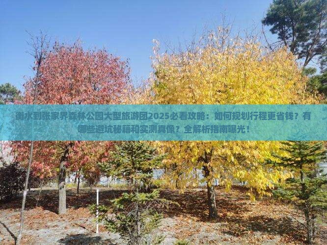 衡水到张家界森林公园大型旅游团