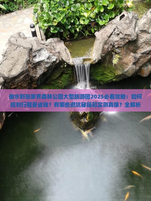 衡水到张家界森林公园大型旅游团
