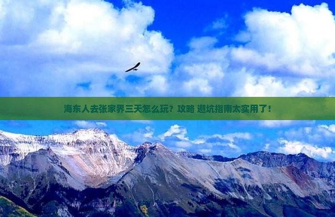 海东去张家界森林公园三日游