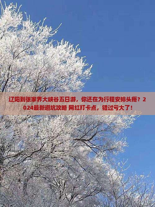 辽阳到张家界大峡谷五日游