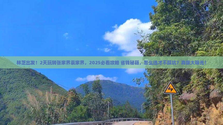 林芝去张家界袁家界二日游