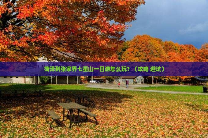 菏泽到张家界七星山一日